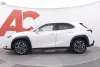 Lexus UX 250h Business Thumbnail 2